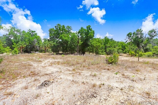 610 NE 13th Ter, Crystal River, FL 34428 - photo 21
