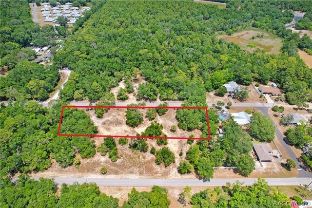 610 NE 13th Ter, Crystal River, FL 34428 - photo 3