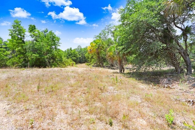 610 NE 13th Ter, Crystal River, FL 34428 - photo 18