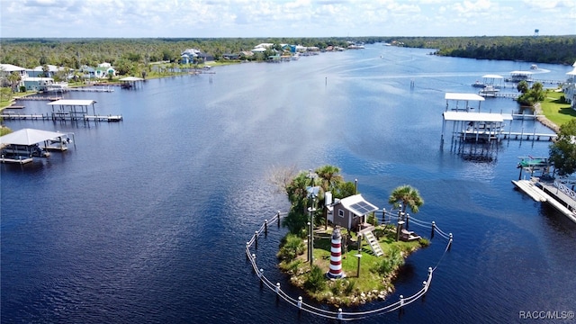 bird's eye view featuring a water view