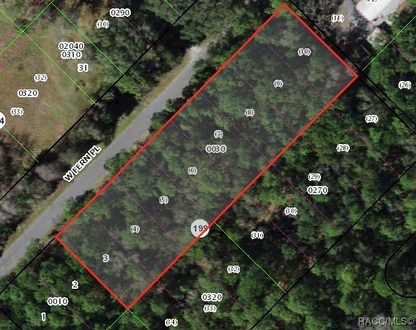 8048 W Fern Pl, Homosassa FL, 34448 land for sale