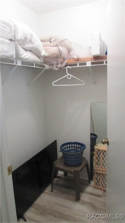 walk in closet featuring light wood-style flooring