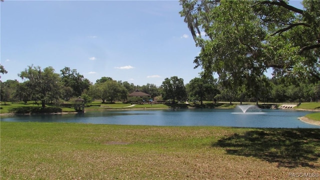 water view