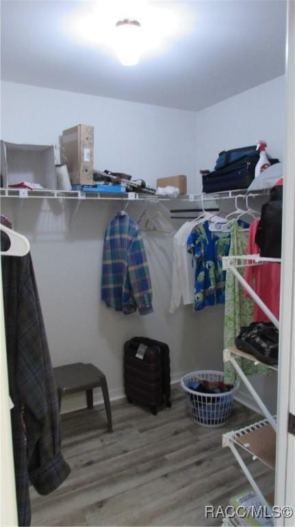 spacious closet with wood finished floors
