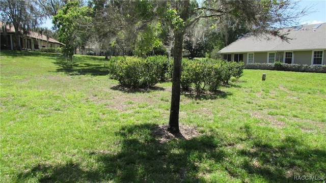view of yard