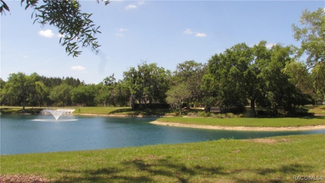 view of water feature