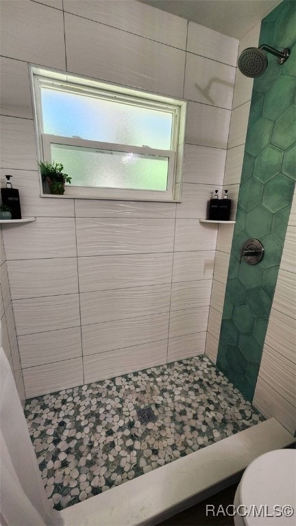 795 N Appalachian Ter, Crystal River, FL 34429 - full bath featuring a shower stall and toilet