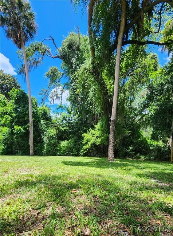 795 N Appalachian Ter, Crystal River, FL 34429 - view of green lawn