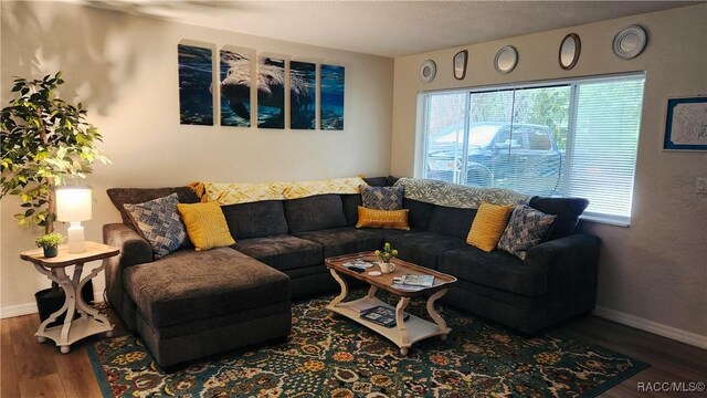 795 N Appalachian Ter, Crystal River, FL 34429 - living room with wood finished floors and baseboards