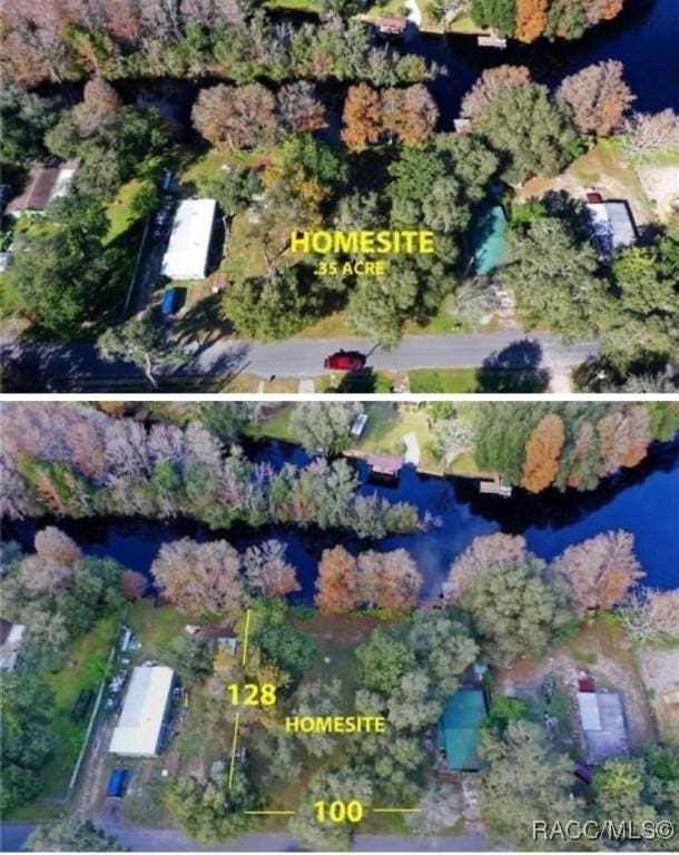 10597 E Turtle Ln, Floral City, FL 34436 - photo 4