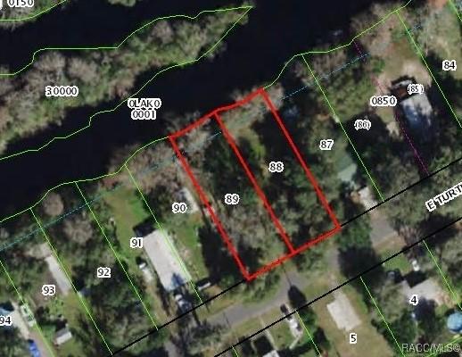 10597 E Turtle Ln, Floral City, FL 34436 - photo 5