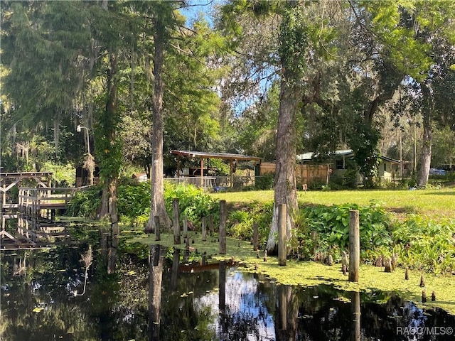 10597 E Turtle Ln, Floral City, FL 34436 - photo 2