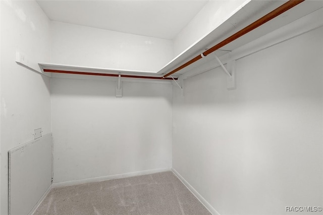 walk in closet with light colored carpet