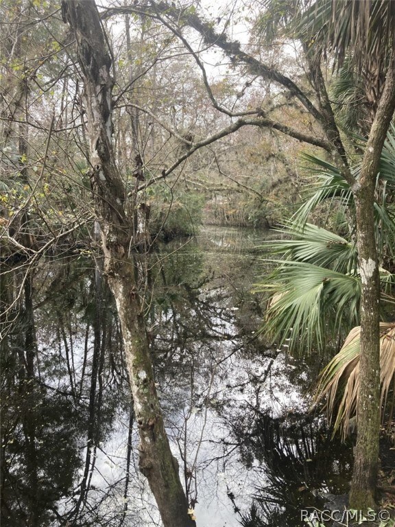 275 S Tuck Pt, Inverness, FL 34450 - photo 11