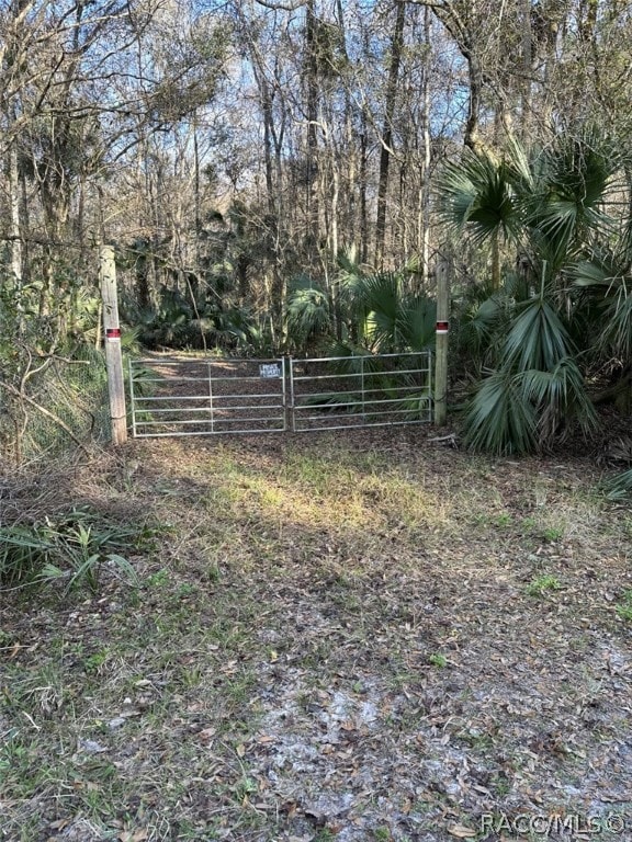 275 S Tuck Pt, Inverness FL, 34450 land for sale