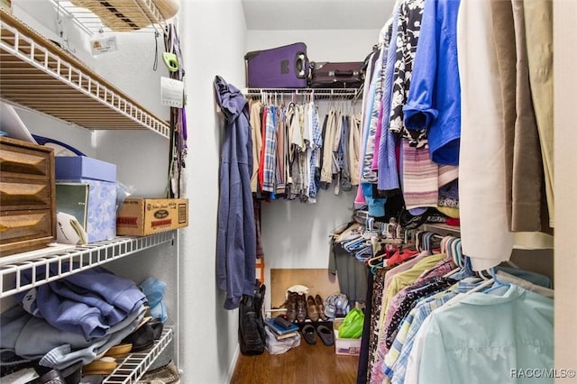 walk in closet with hardwood / wood-style flooring