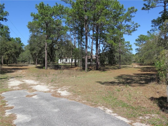 17591/17615 SW 47th St, Dunnellon, FL 34432 - photo 33