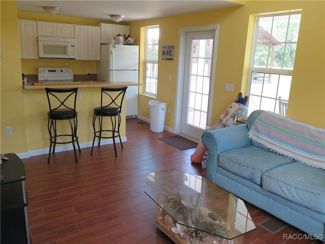 17591/17615 SW 47th St, Dunnellon, FL 34432 - photo 8