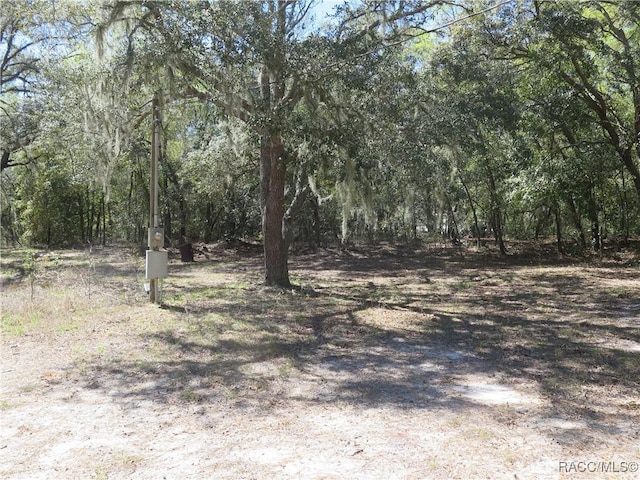 17591/17615 SW 47th St, Dunnellon, FL 34432 - photo 35