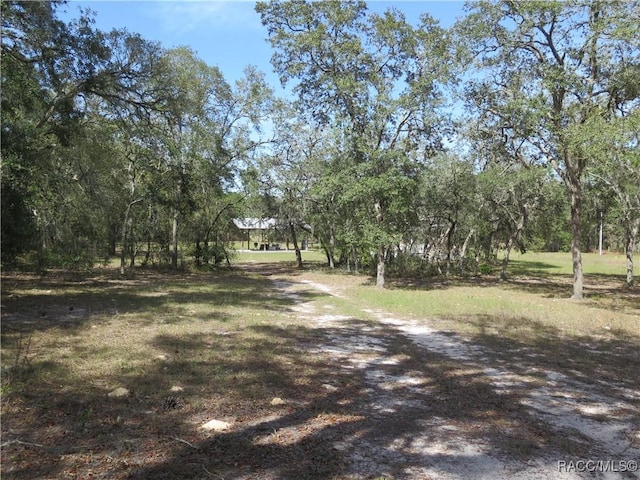17591/17615 SW 47th St, Dunnellon, FL 34432 - photo 19