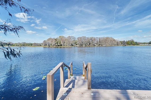 dock area featuring a water view