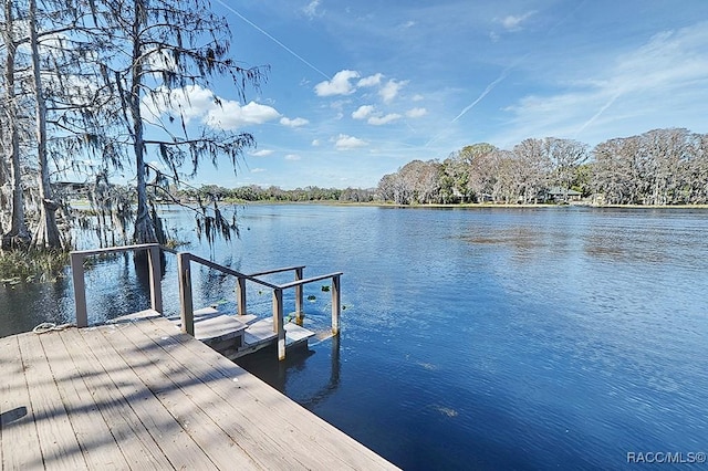 dock area with a water view