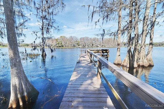 dock area featuring a water view