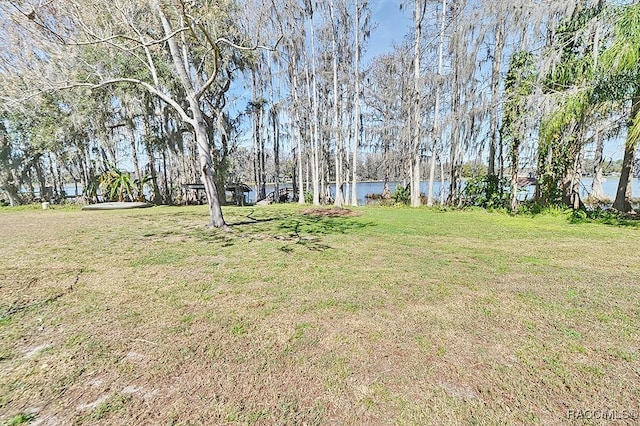 view of yard featuring a water view