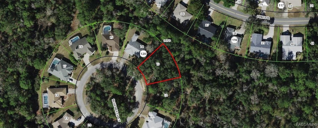 9 Blue Beech Ct, Homosassa, FL 34446 - photo 1