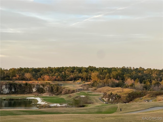 view of home's community featuring a water view