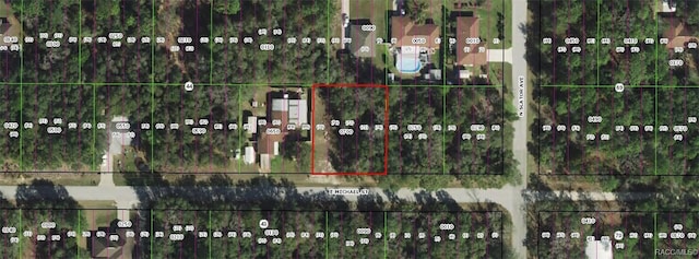 3125 E Michael St, Inverness FL, 34453 land for sale