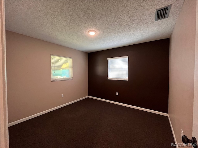 carpeted spare room with a textured ceiling and a healthy amount of sunlight