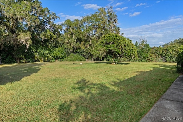 view of yard