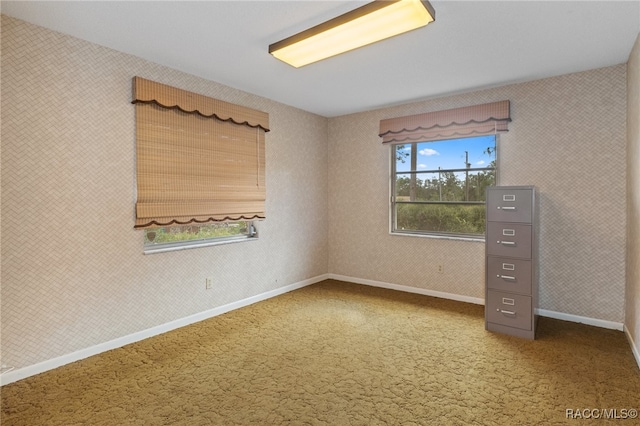 view of carpeted spare room