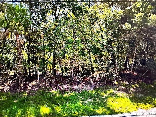 3617 N Annapolis Ave, Hernando FL, 34442 land for sale