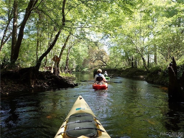 property view of water with a forest view