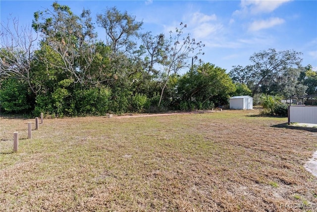 view of yard with a storage shed