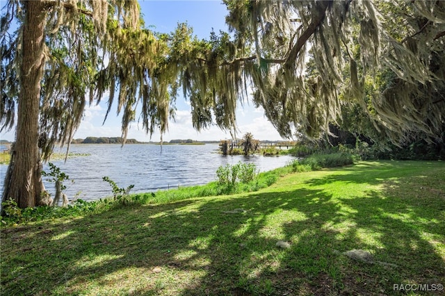 4614 N Webster Island Ter, Hernando, FL 34442 - water view