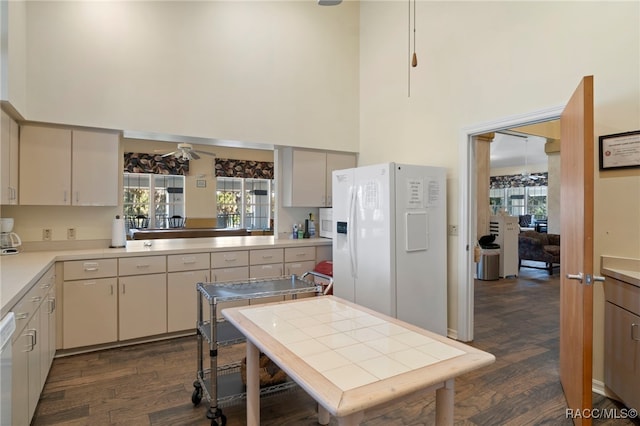 4614 N Webster Island Ter, Hernando, FL 34442 - kitchen with white appliances, a towering ceiling, dark wood-type flooring, light countertops, and plenty of natural light