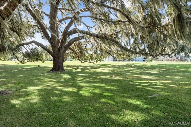 4614 N Webster Island Ter, Hernando, FL 34442 - view of grassy yard