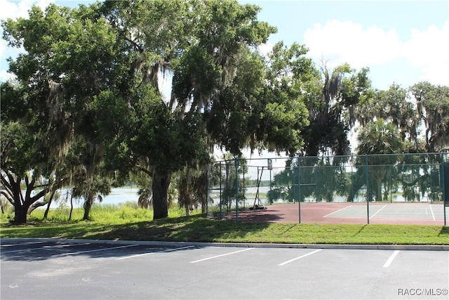 4614 N Webster Island Ter, Hernando, FL 34442 - view of tennis court