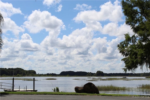 4614 N Webster Island Ter, Hernando, FL 34442 - water view