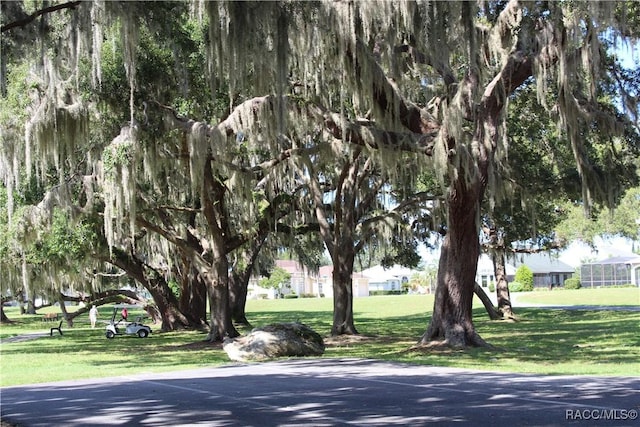 4614 N Webster Island Ter, Hernando, FL 34442 - view of asphalt street