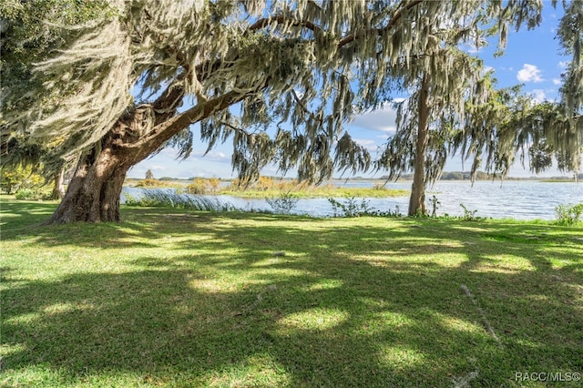 4614 N Webster Island Ter, Hernando, FL 34442 - view of green lawn featuring a water view