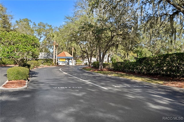 4614 N Webster Island Ter, Hernando, FL 34442 - view of asphalt street