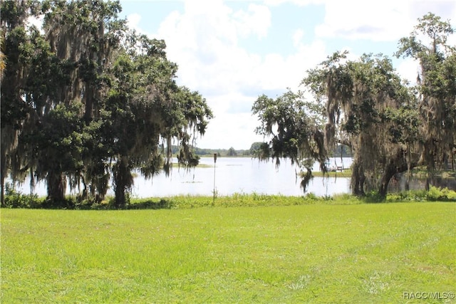 4614 N Webster Island Ter, Hernando, FL 34442 - water view