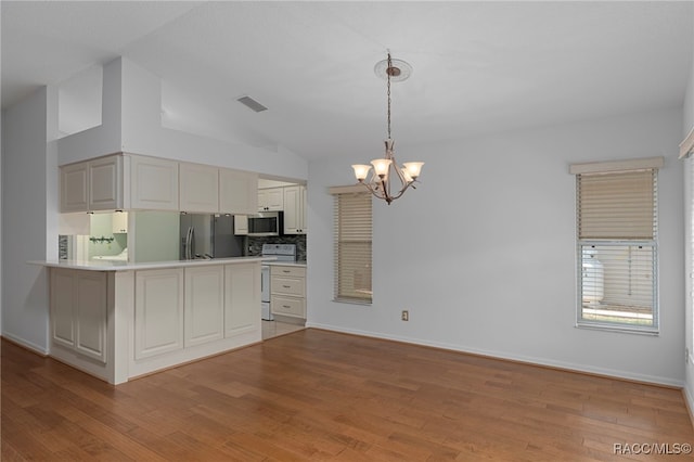 4614 N Webster Island Ter, Hernando, FL 34442 - kitchen featuring appliances with stainless steel finishes, a chandelier, light wood-type flooring, hanging light fixtures, and light countertops