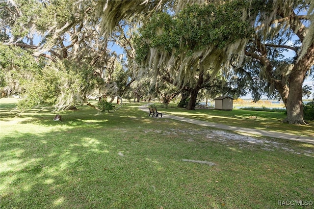 4614 N Webster Island Ter, Hernando, FL 34442 - view of grassy yard with a shed