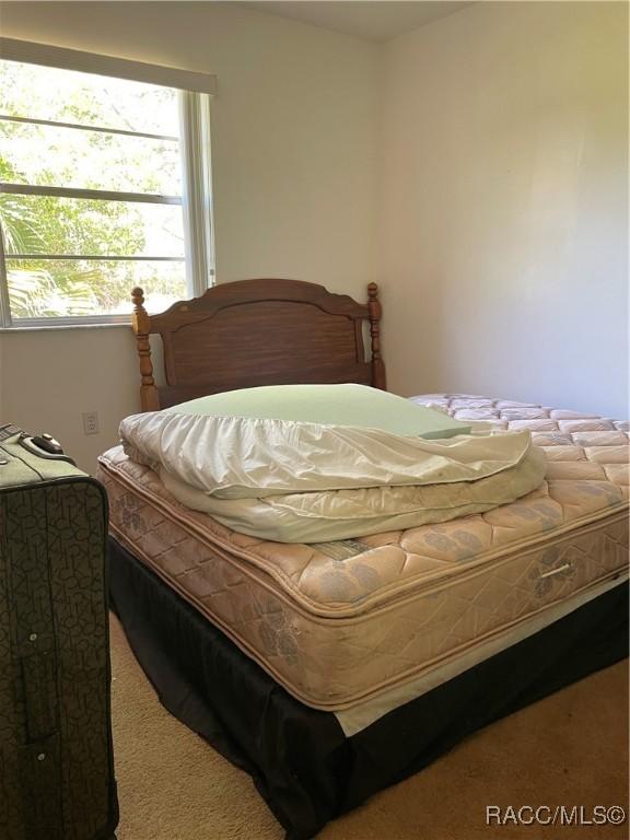 bedroom featuring carpet floors