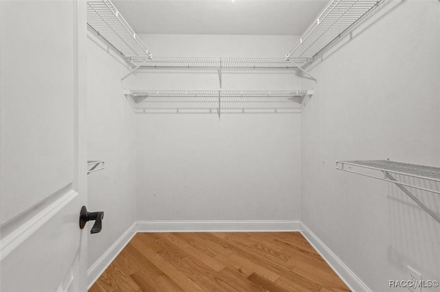 spacious closet featuring wood finished floors